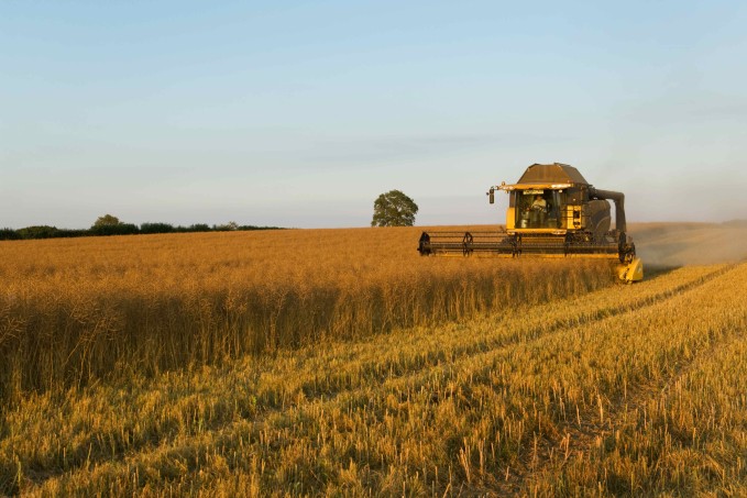 IBC-Br: prévia do PIB mostra que economia perdeu fôlego no fim de 2025