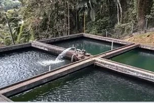 ASA coordena captação em debêntures incentivadas