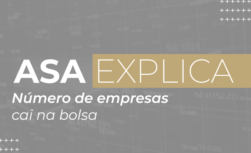 Bolsa menor